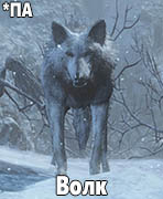 Dark Souls III: Ashes of Ariandel Волк (Wolf)