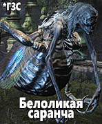 Dark Souls III: The Ringed City Белоликая саранча (White-faced Locust)