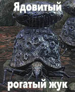 Dark Souls III Ядовитый рогатый жук (Poisonhorn Bug)