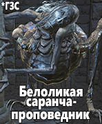 Dark Souls III: The Ringed City Белоликая саранча-проповедник (White-faced Locust-preacher)