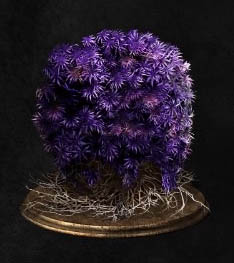 Dark Souls III Комок пурпурного мха (Purple Moss Clump)