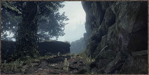 Dark Souls III Путь жертв - костёр Лес мучений