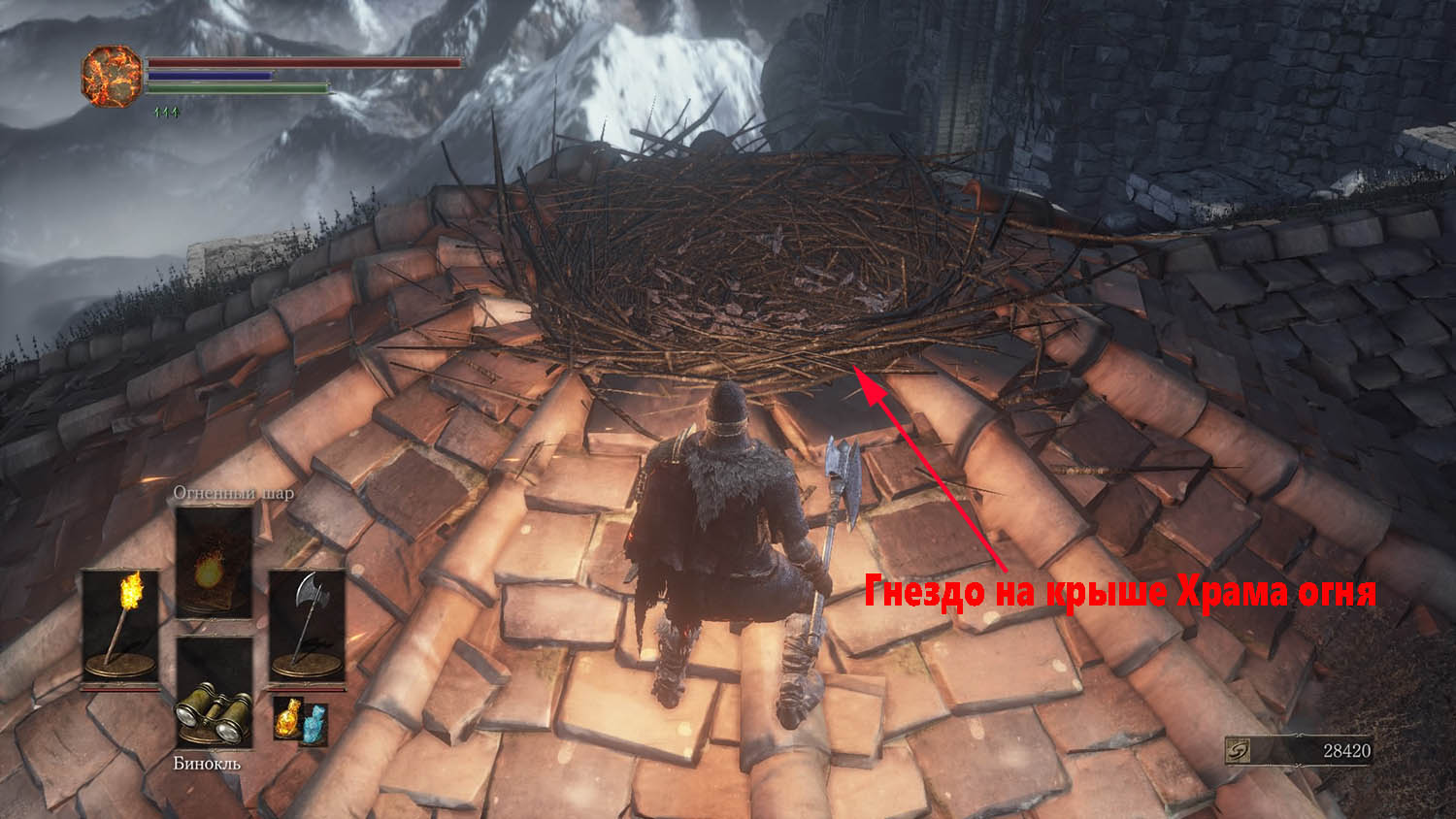 Dark Souls III гнездо Птенца на крыше Храма огня