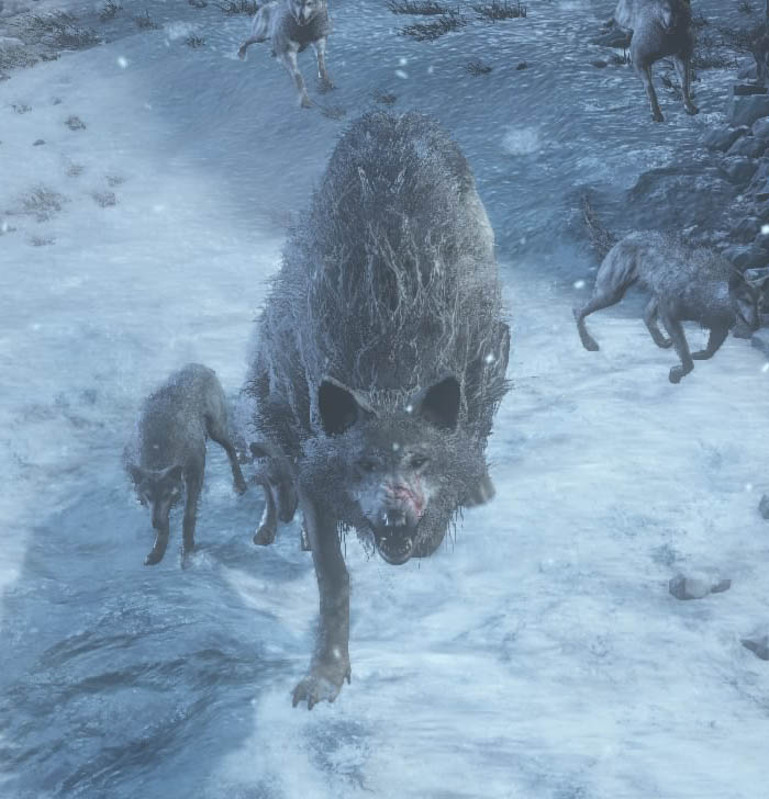 Dark Souls III: Ashes of Ariandel Великий волк, хранитель могилы (Gravetender Greatwolf)