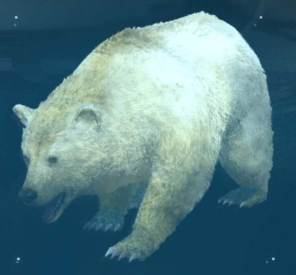 Metal Gear Solid V: The Phantom Pain Гималайский медведь