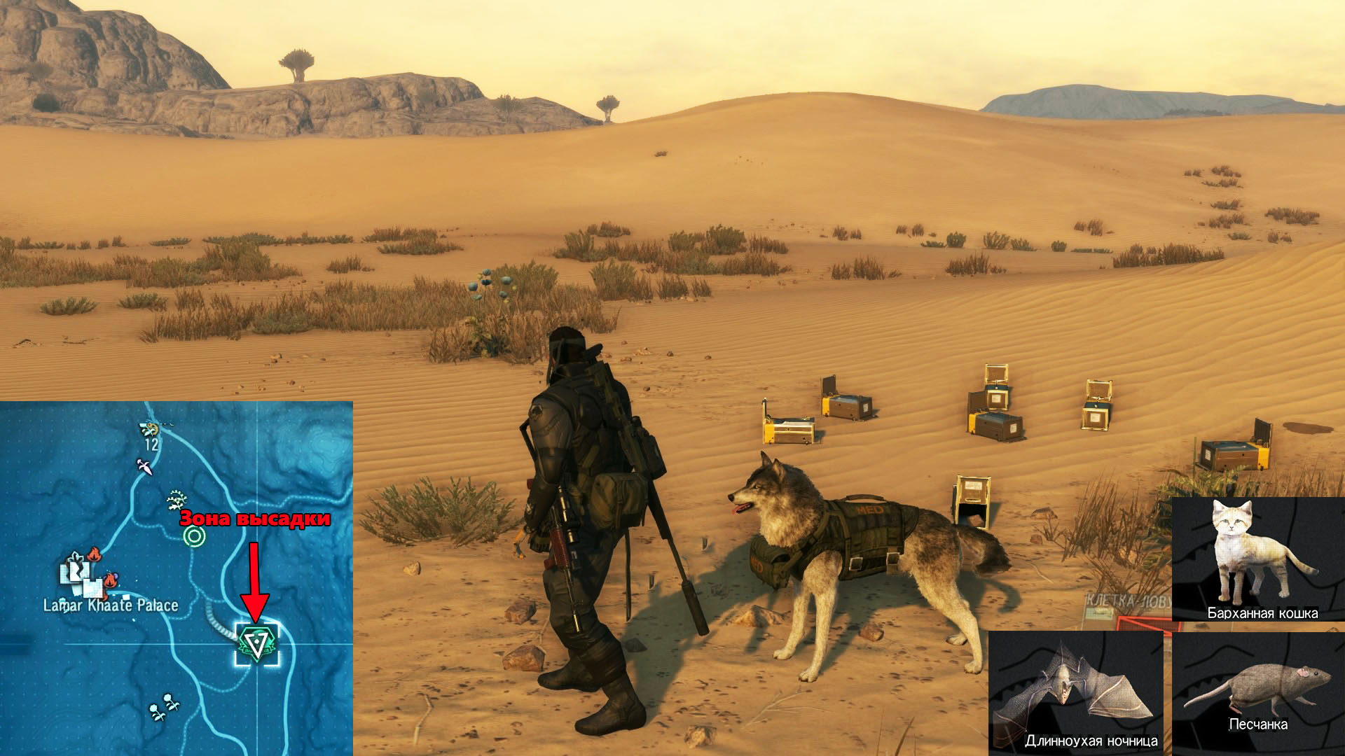 Metal Gear Solid V: The Phantom Pain - Местонахождение Барханной кошки (Sand Cat)