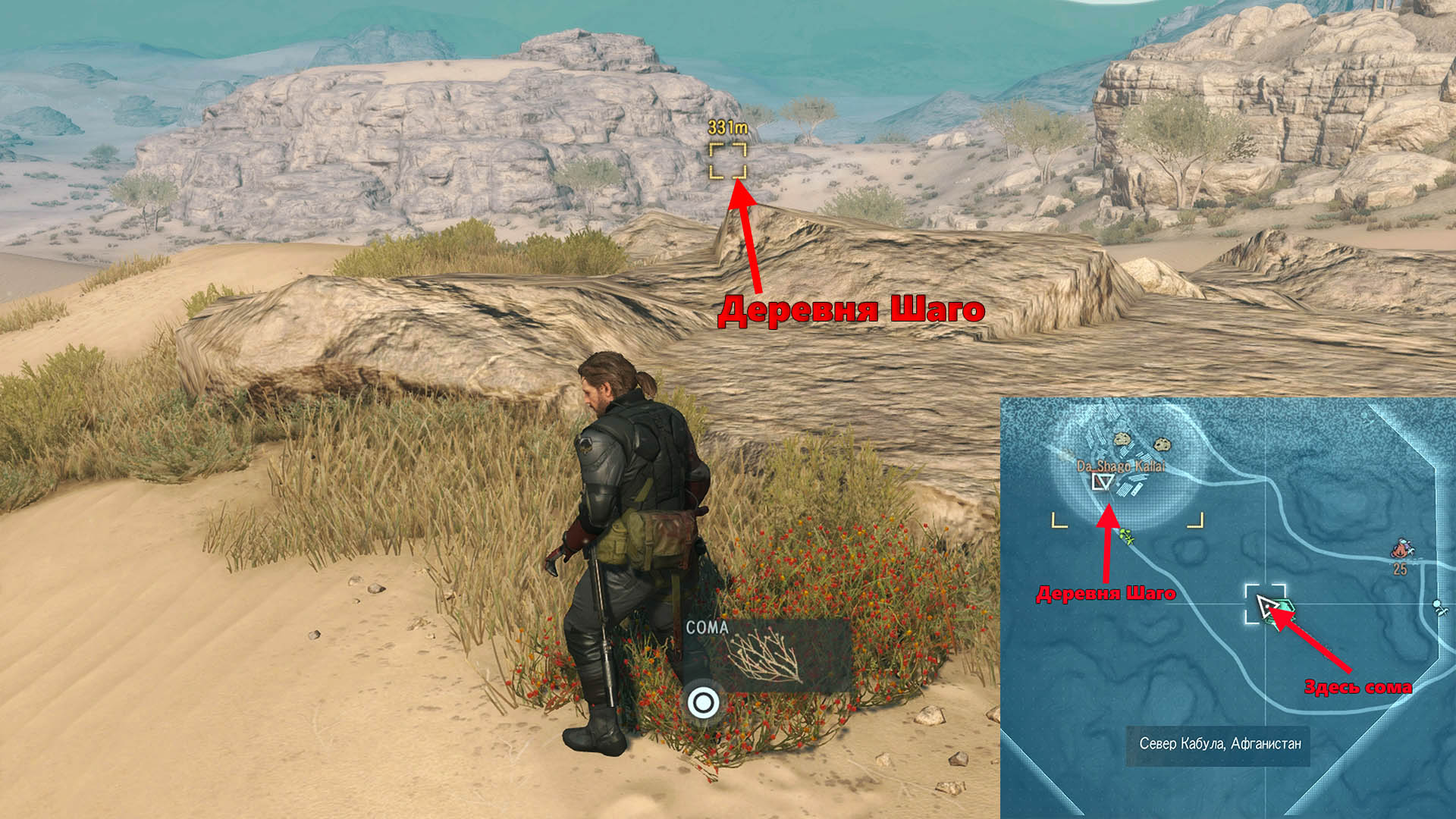Metal Gear Solid V: The Phantom Pain Собрана сома, произраставшая в пустыне между деревней Шаго и крепостью Спугмай