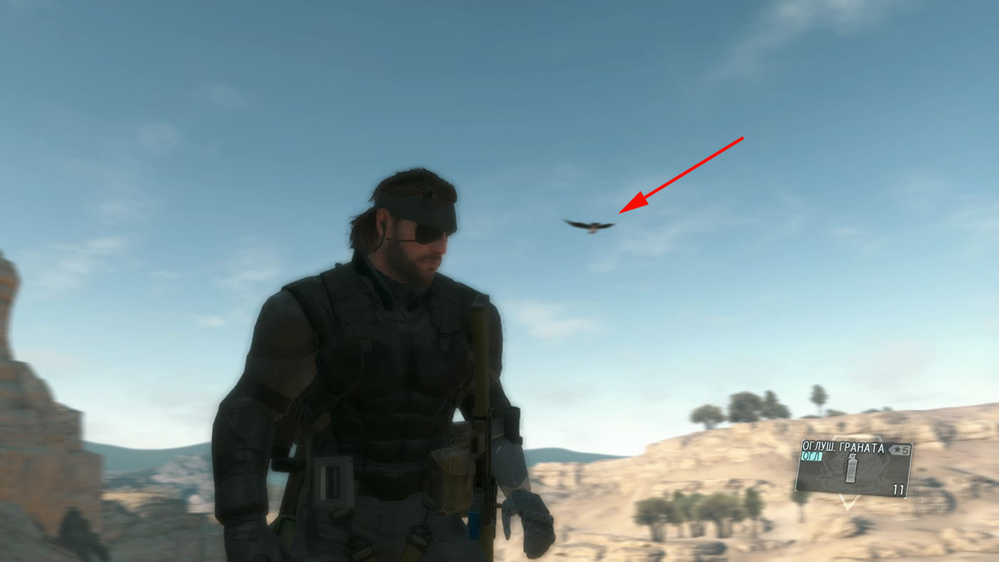 Metal Gear Solid V: The Phantom Pain Возле руин Спугмай пойман белоголовый сип